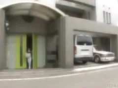 Bundløse og behårede arbejde japanske 5