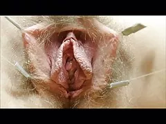 Pussies sang