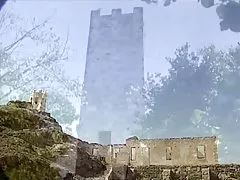 Tropiske krydderi